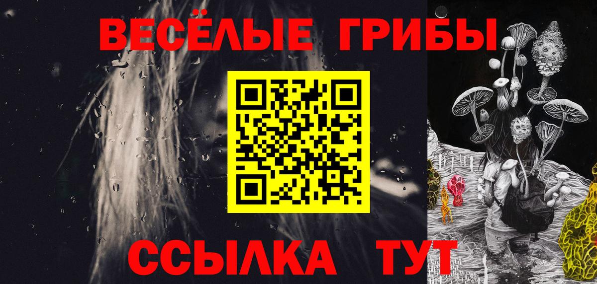 Можга  Псилоцибиновые грибы MAGIC MUSHROOMS  купить   Вход с VPN 