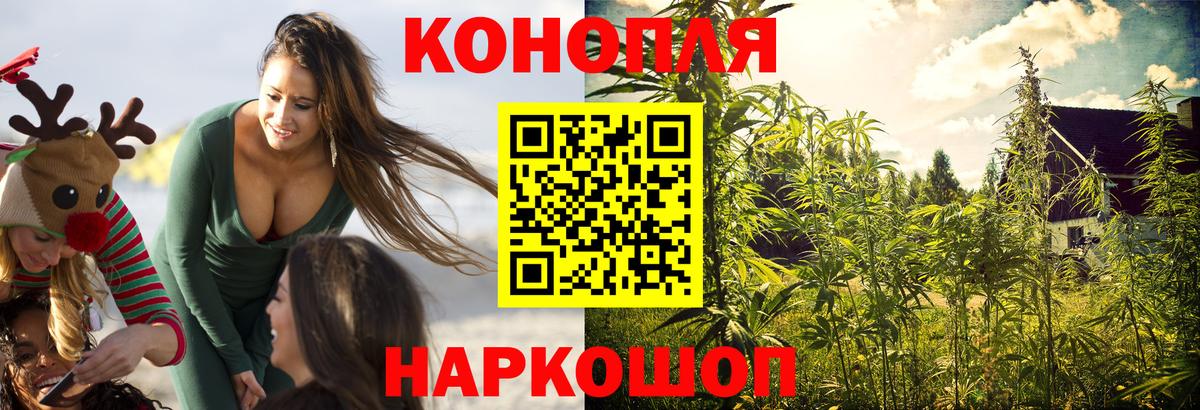 Бошки марихуана Ganja Можга